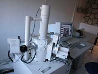 Microscope électronique à balayage